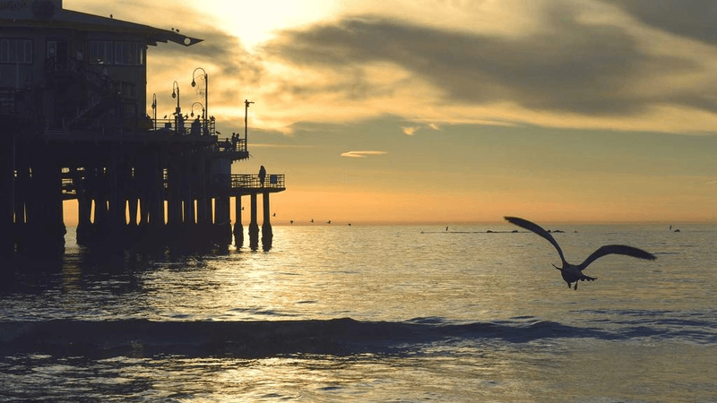 Camera - professional stock photography