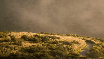 Charger - professional stock photography