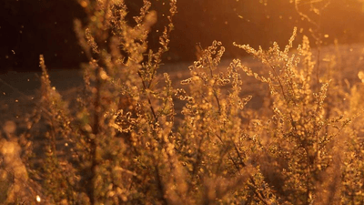 Keyboard - professional stock photography