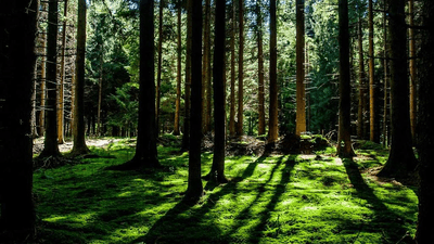 Keyboard - professional stock photography