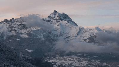 Laptop - professional stock photography