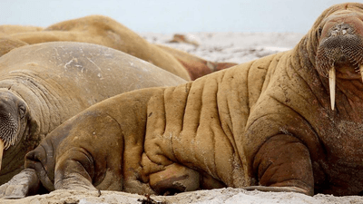 Monitor - professional stock photography