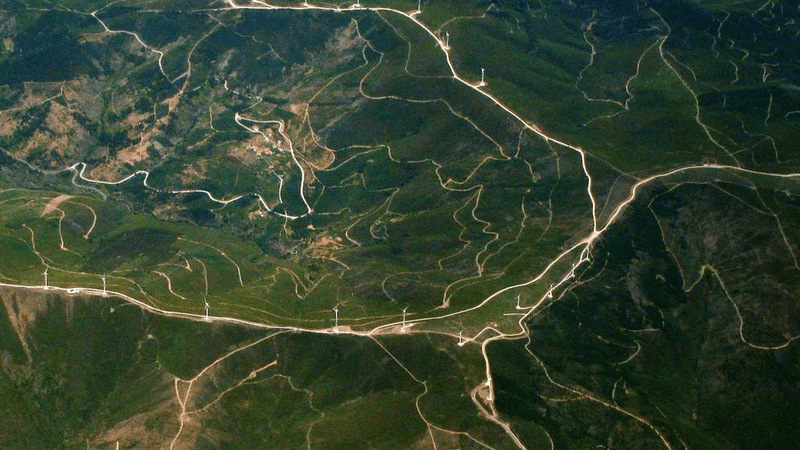 Mouse - professional stock photography