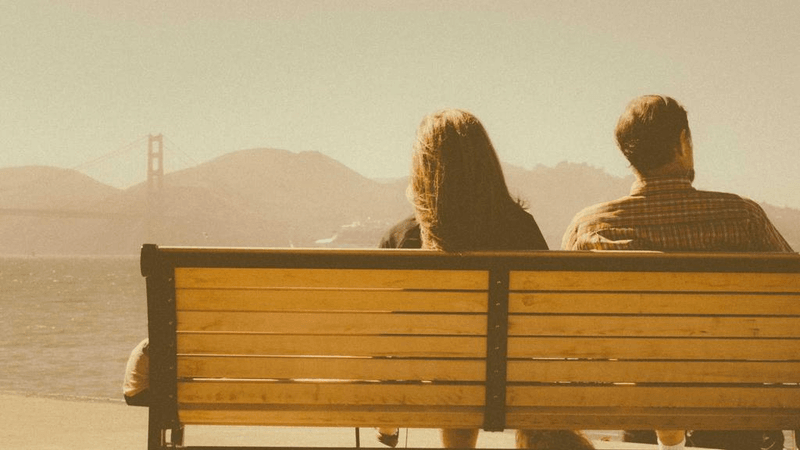 Mouse - professional stock photography