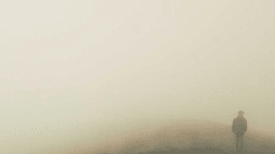 Mouse - professional stock photography