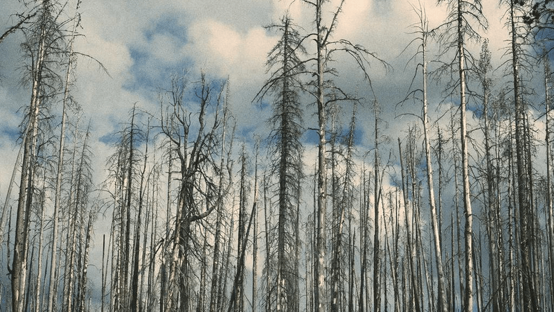 Power Bank - professional stock photography