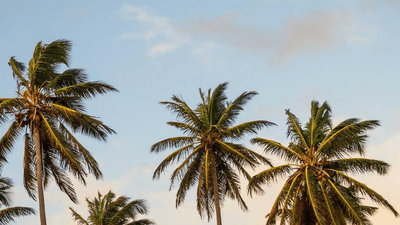 Projector - professional stock photography