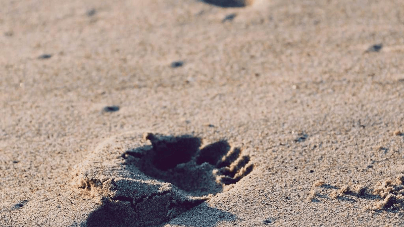 Router - professional stock photography