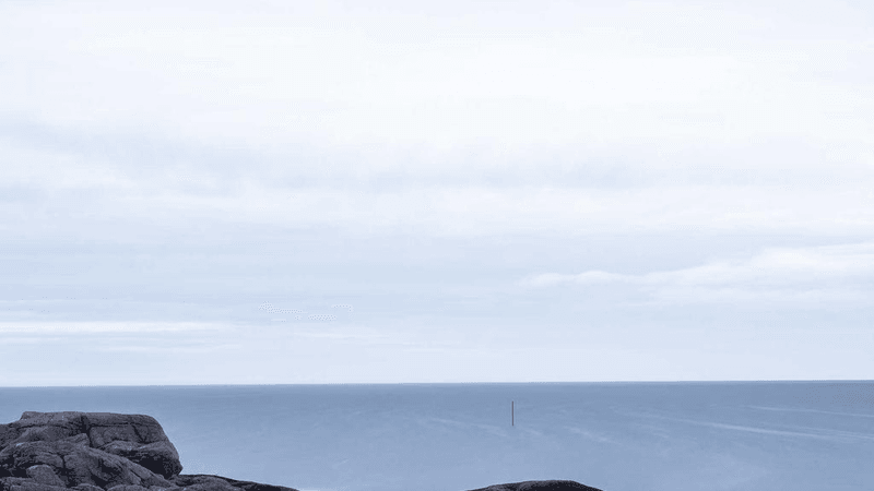 Smartphone - professional stock photography