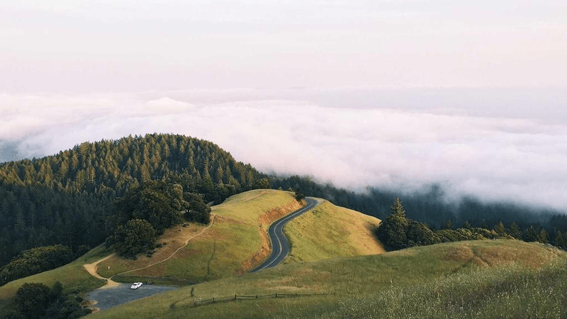 Smartphone - professional stock photography