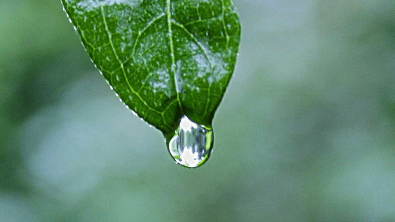 Speaker - professional stock photography