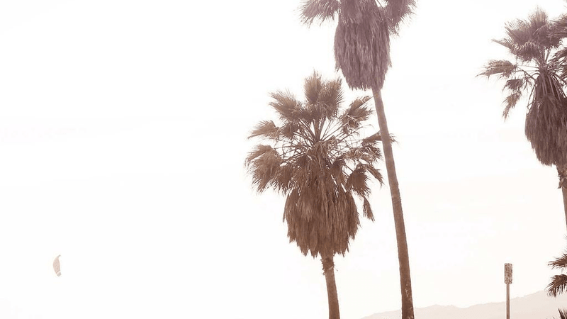 Webcam - professional stock photography